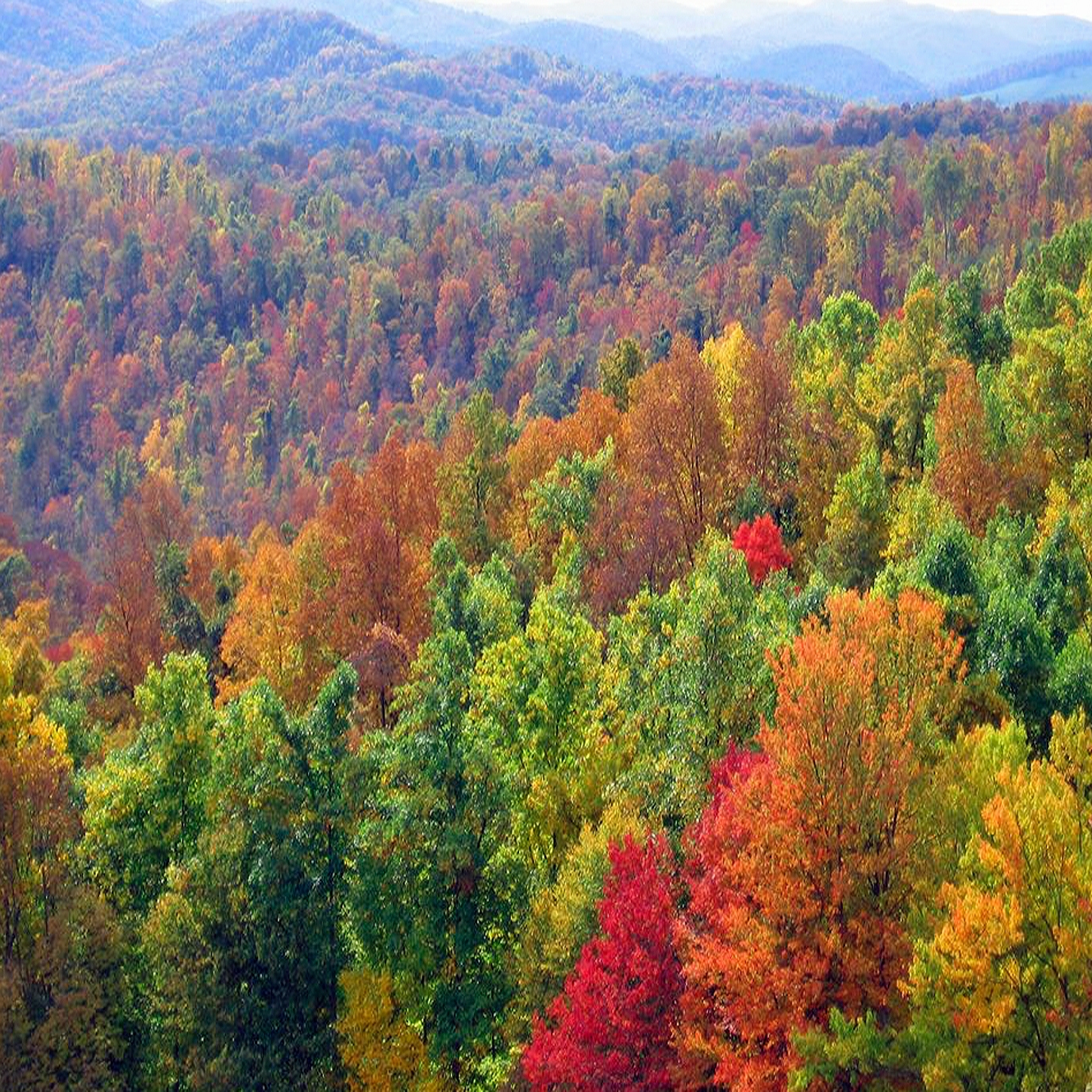 Aerial shot of Rowlesburg